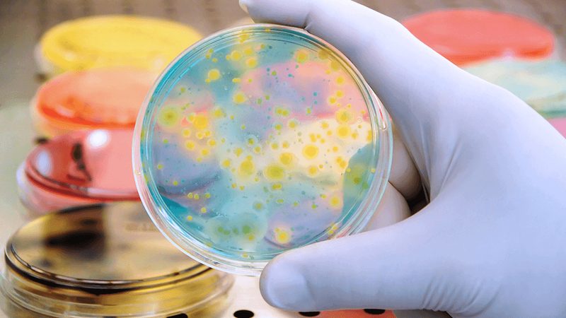 成都分子生物学试剂：揭秘其背后的技术与应用