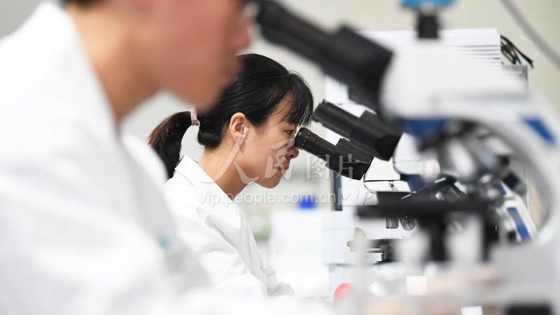 酶制剂国家标准定制要求：合规之路的指南针**