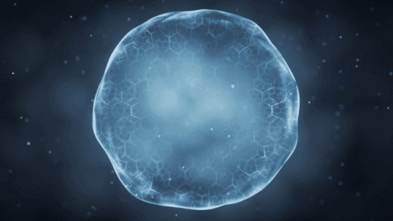 分子生物学试剂：如何选择可靠的代理商？**
