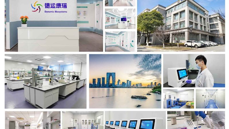 上海基因检测全流程拆解：从采样到报告的关键节点