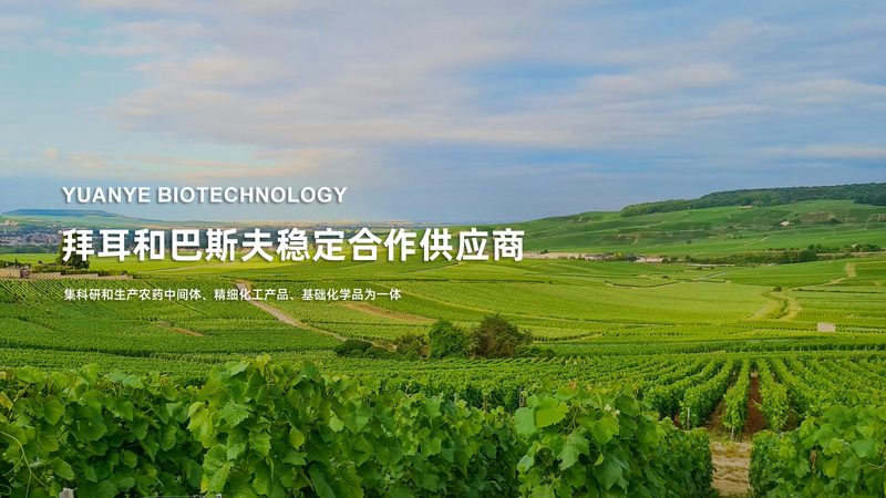 PCR检测试剂批发，如何把握报价标准？**