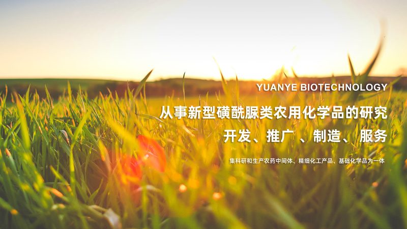 重组抗体：揭秘上海生产服务的关键要素**