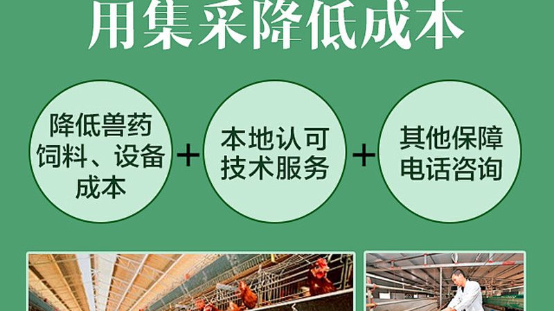 CDMO厂家排名背后的合作流程解析