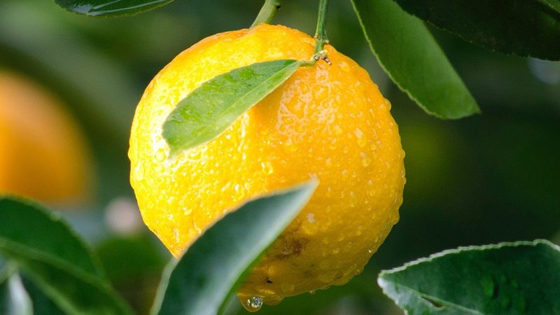 生物科技公司产品材质标准规范：揭秘合规背后的秘密**