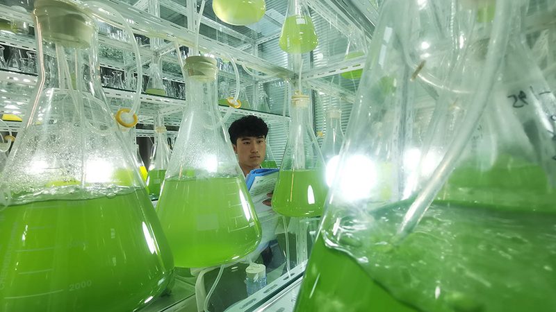 PCR检测在医院检测中的规范与标准解读